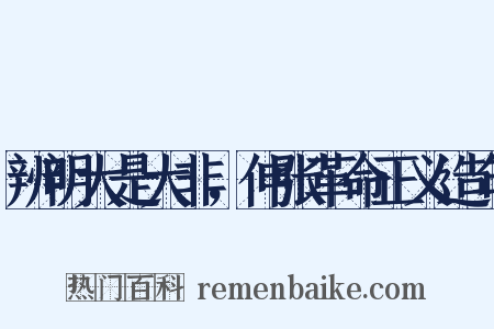 辨明大是大非，伸张革命正义造句是什么意思的图片